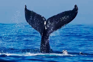 Interiores-galerias-PlantBaja