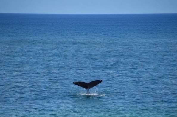 Interiores-galerias-PlantBaja